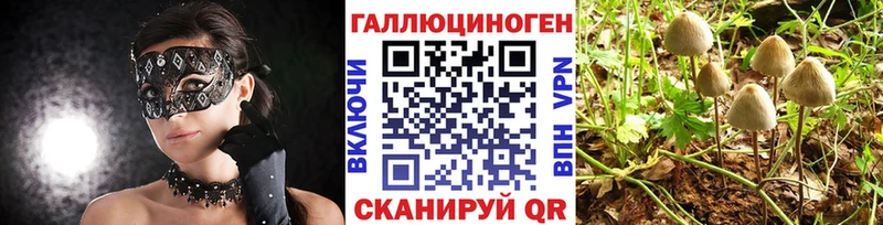 Псилоцибиновые грибы GOLDEN TEACHER  наркошоп  Солигалич 